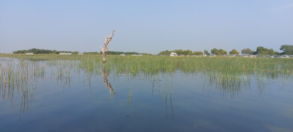 A wide wetland landscape at Nal Sarovar Bird Sanctuary near Ahmedabad.