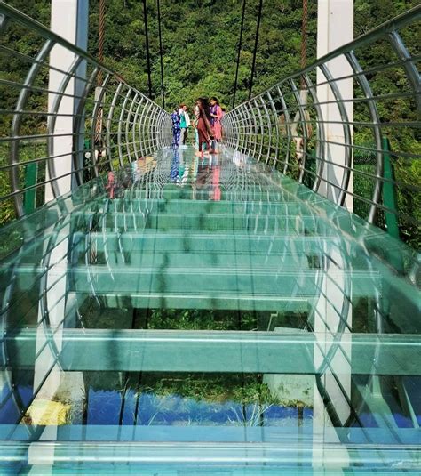 Rajgir Glass Bridge inside Nature Safari Rajgir Bihar
