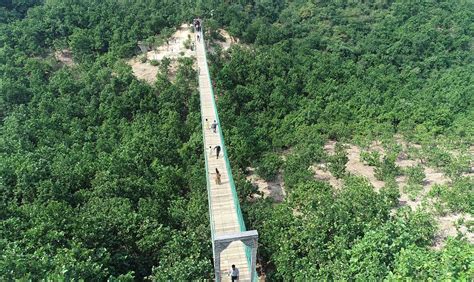 Aerial view of Rajgir Glass Bridge and forest in Bihar