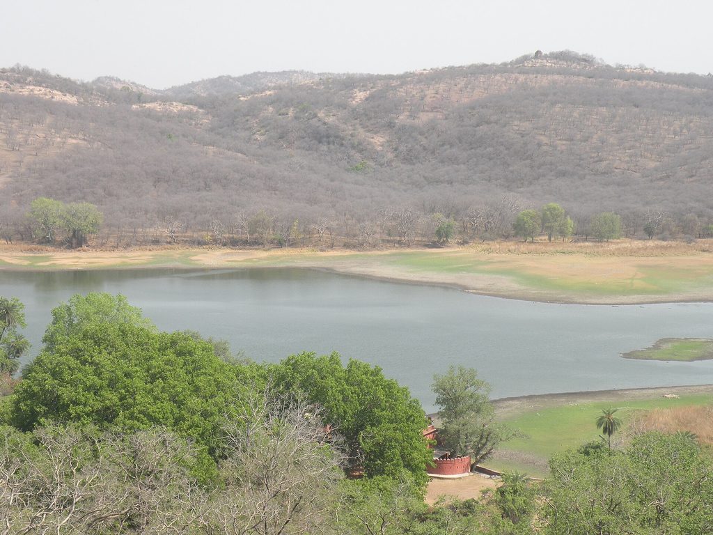 Jogi Mahal, the old banyan and Padam Talao