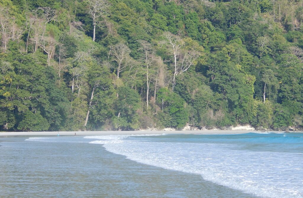 Radhanagar beach in andaman