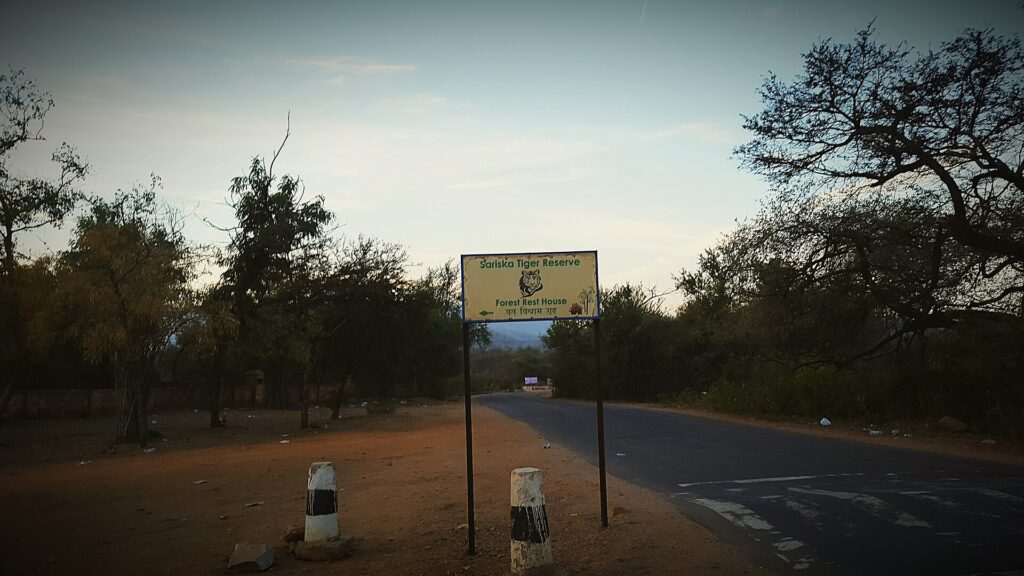 An early-morning Sariska road before safari