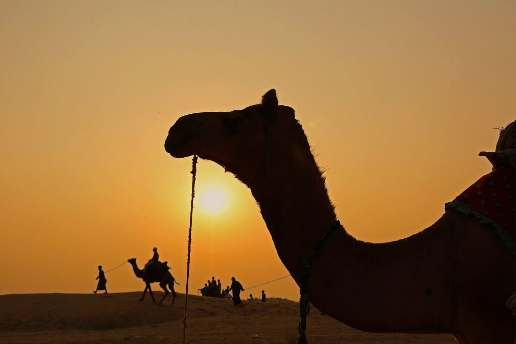 Sam Sand Dunes, Jaisalmer in december