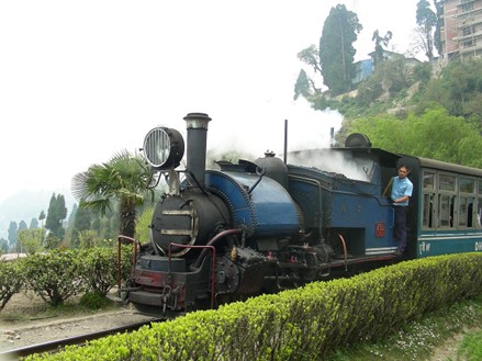 Darjeeling toy-train booking